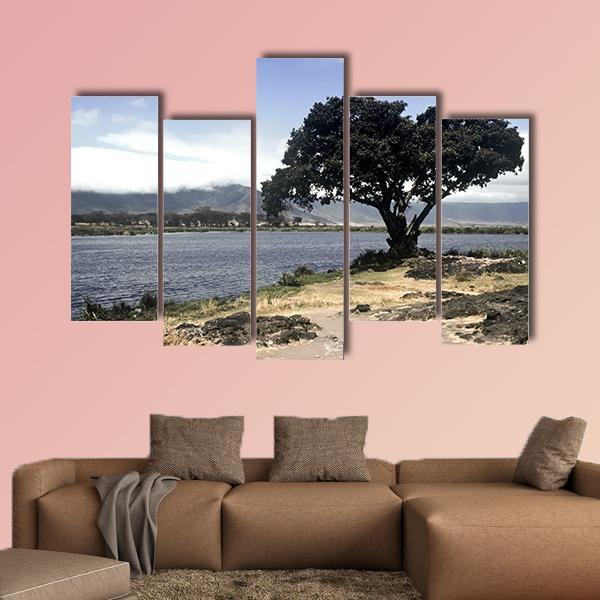 Lake & Tree In Ngorongoro Canvas Wall Art-5 Pop-Gallery Wrap-47" x 32"-Tiaracle