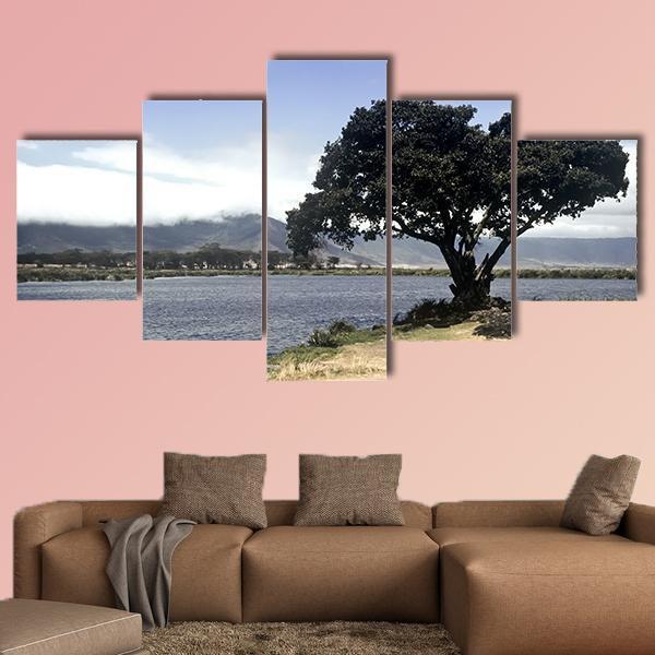 Lake & Tree In Ngorongoro Canvas Wall Art-5 Star-Gallery Wrap-62" x 32"-Tiaracle