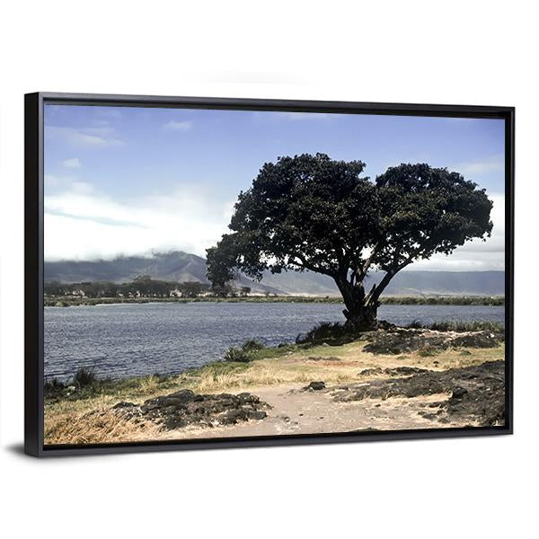 Lake & Tree In Ngorongoro Canvas Wall Art-3 Horizontal-Gallery Wrap-25" x 16"-Tiaracle