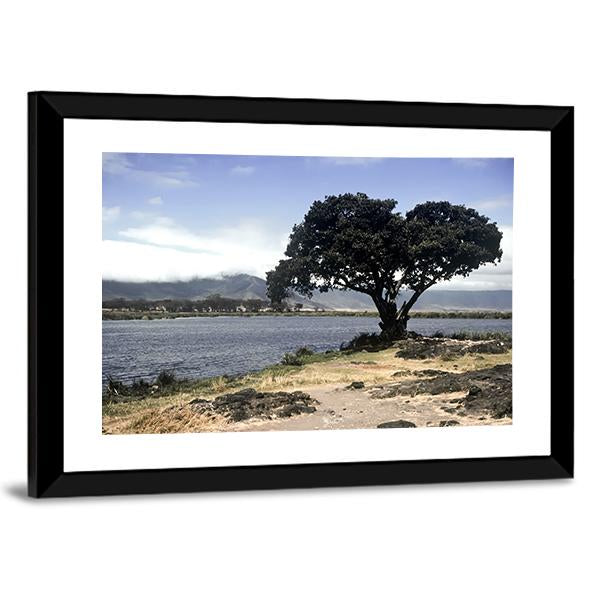Lake & Tree In Ngorongoro Canvas Wall Art-3 Horizontal-Gallery Wrap-25" x 16"-Tiaracle