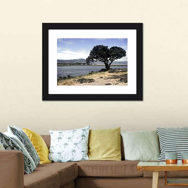 Lake & Tree In Ngorongoro Canvas Wall Art-3 Horizontal-Gallery Wrap-25" x 16"-Tiaracle
