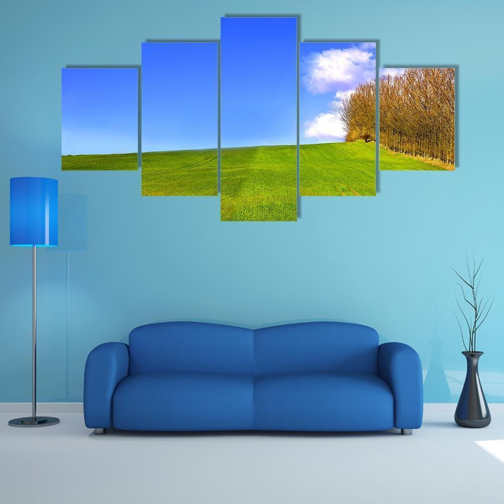 Landscape In Denmark Early Spring Canvas Wall Art-5 Star-Gallery Wrap-62" x 32"-Tiaracle