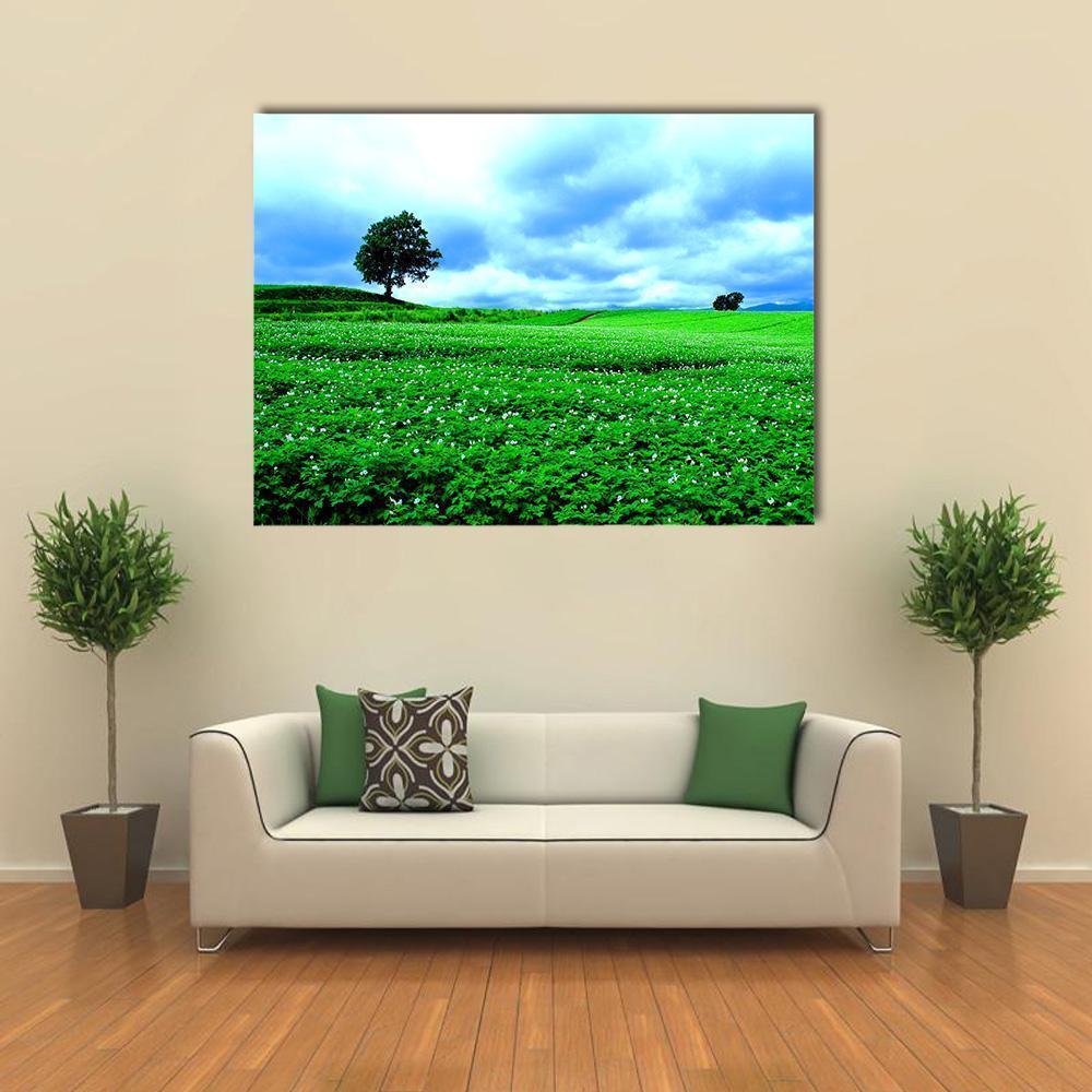 Hill Of Biei in Hokkaido Canvas Wall Art-1 Piece-Gallery Wrap-48" x 32"-Tiaracle