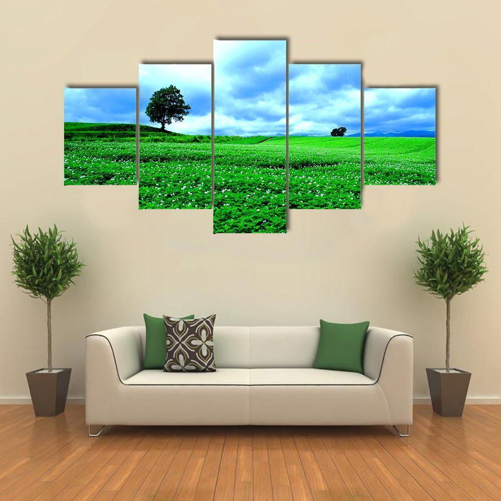 Hill Of Biei in Hokkaido Canvas Wall Art-5 Star-Gallery Wrap-62" x 32"-Tiaracle