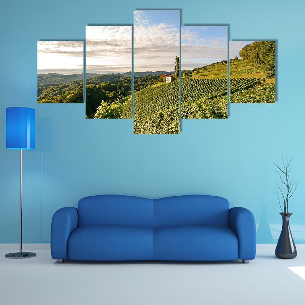 Wine Grapes In Vineyard Canvas Wall Art-5 Star-Gallery Wrap-62" x 32"-Tiaracle