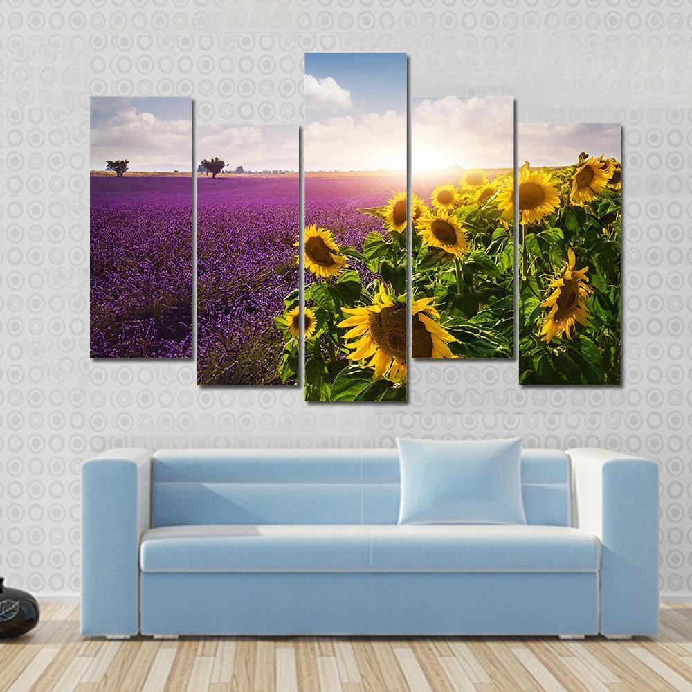 Lavender & Sunflowers Fields Canvas Wall Art-5 Pop-Gallery Wrap-47" x 32"-Tiaracle