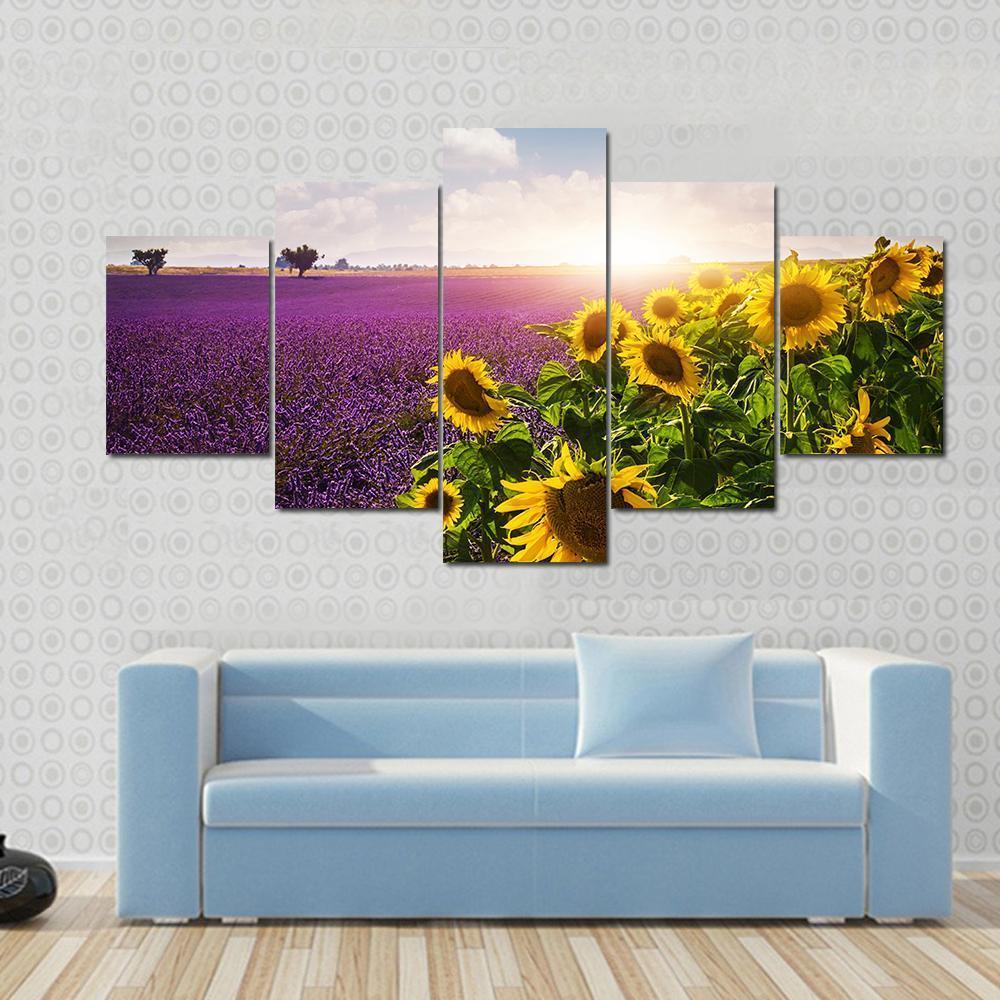 Lavender & Sunflowers Fields Canvas Wall Art-5 Star-Gallery Wrap-62" x 32"-Tiaracle