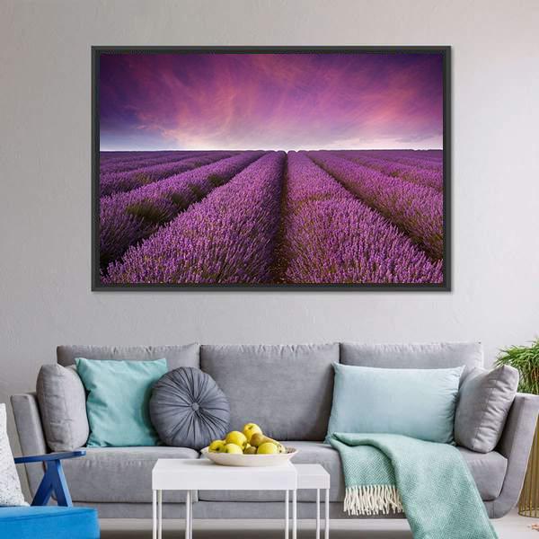 Lavender Field At Sunset Canvas Wall Art-5 Horizontal-Gallery Wrap-22" x 12"-Tiaracle