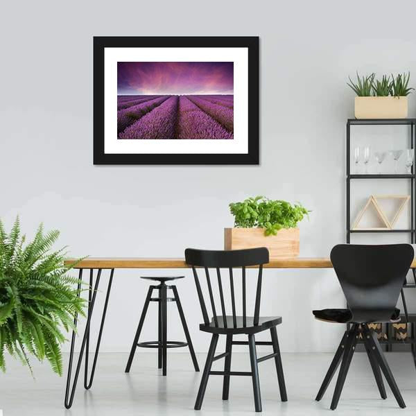 Lavender Field At Sunset Canvas Wall Art-5 Horizontal-Gallery Wrap-22" x 12"-Tiaracle