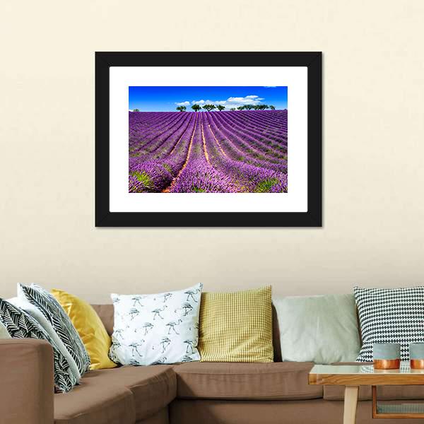 Lavender Field In France Canvas Wall Art-3 Horizontal-Gallery Wrap-25" x 16"-Tiaracle