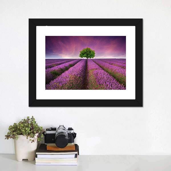 Lavender Field In Summer Canvas Wall Art-1 Piece-Framed Print-20" x 16"-Tiaracle