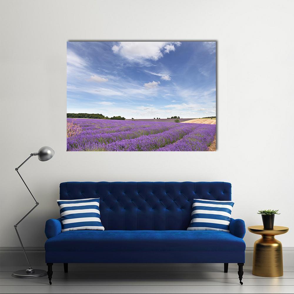 Lavender Field In Cotswolds Canvas Wall Art-1 Piece-Gallery Wrap-48" x 32"-Tiaracle