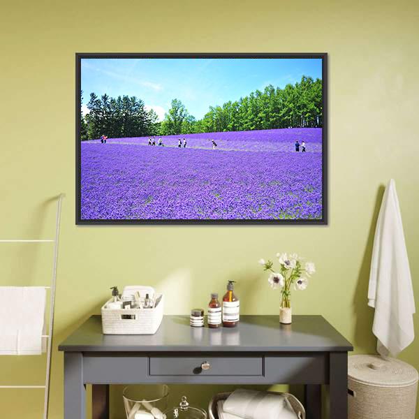 Lavender Fields In Hokkaido Canvas Wall Art-1 Piece-Floating Frame-24" x 16"-Tiaracle
