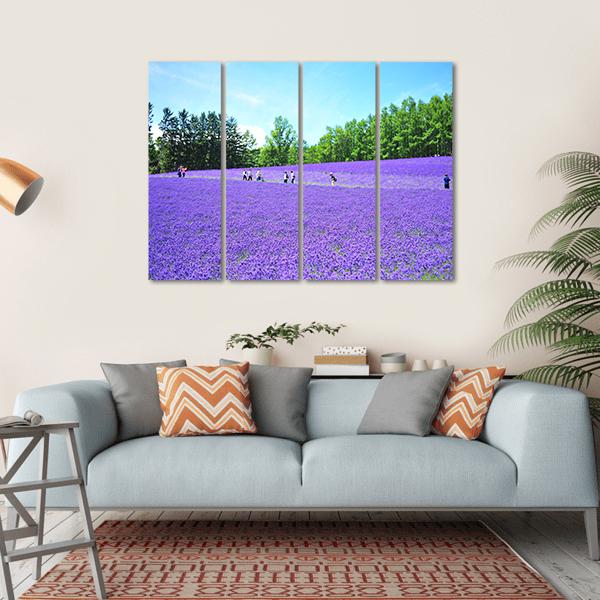 Lavender Fields In Hokkaido Canvas Wall Art-4 Horizontal-Gallery Wrap-34" x 24"-Tiaracle