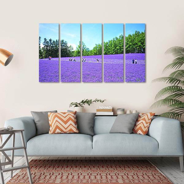 Lavender Fields In Hokkaido Canvas Wall Art-5 Horizontal-Gallery Wrap-22" x 12"-Tiaracle