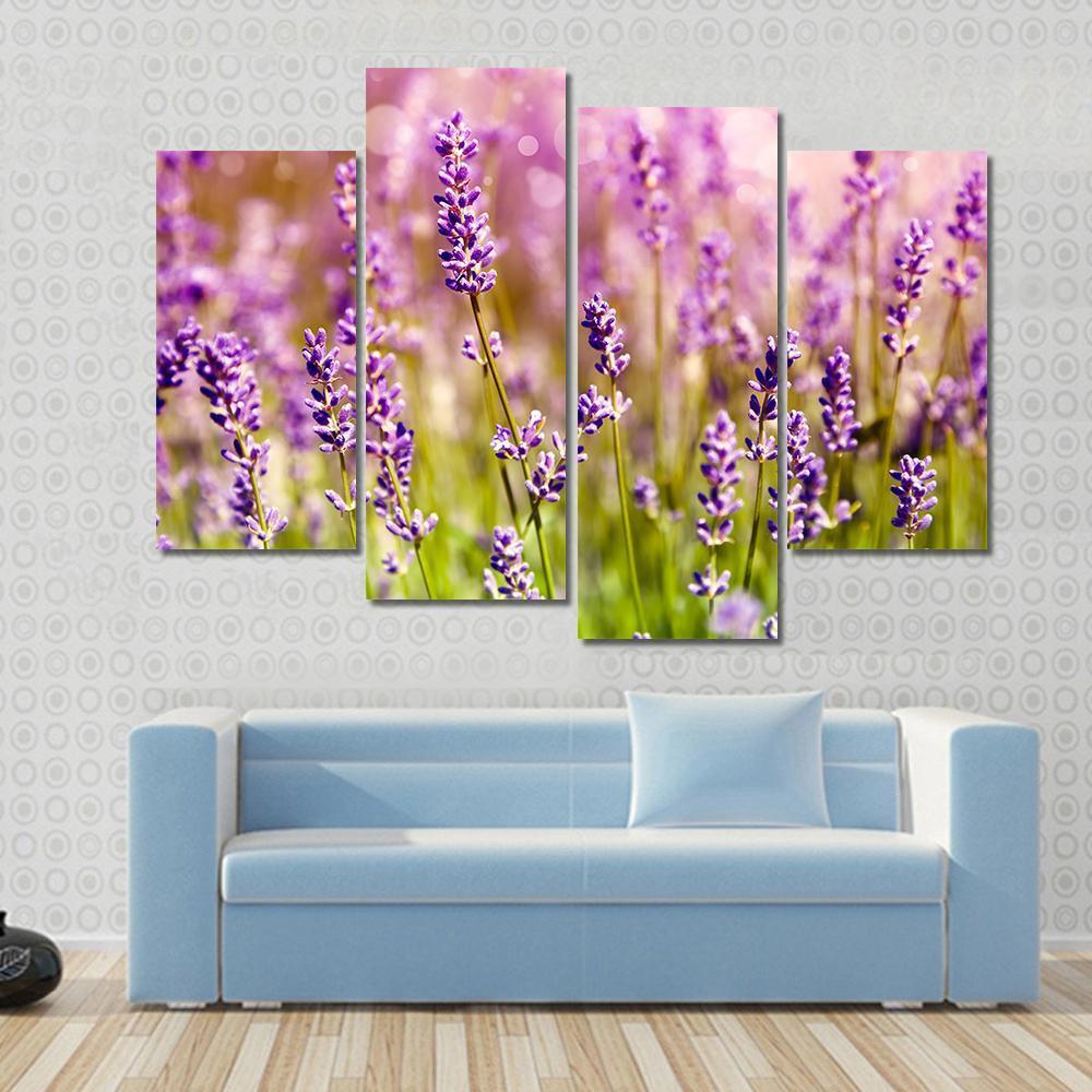 Lavender Floral Scene Canvas Wall Art-4 Pop-Gallery Wrap-50" x 32"-Tiaracle