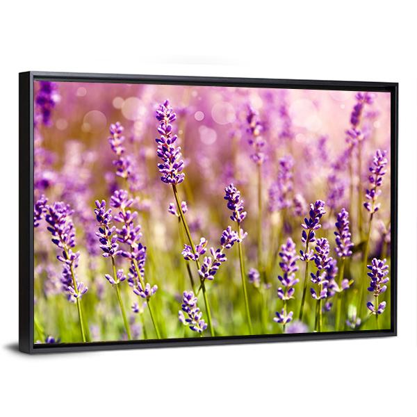 Lavender Floral Scene Canvas Wall Art-3 Horizontal-Gallery Wrap-25" x 16"-Tiaracle