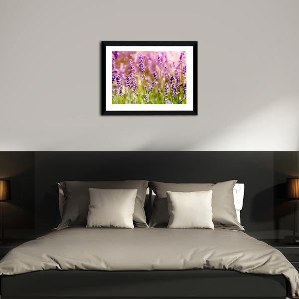 Lavender Floral Scene Canvas Wall Art-3 Horizontal-Gallery Wrap-25" x 16"-Tiaracle