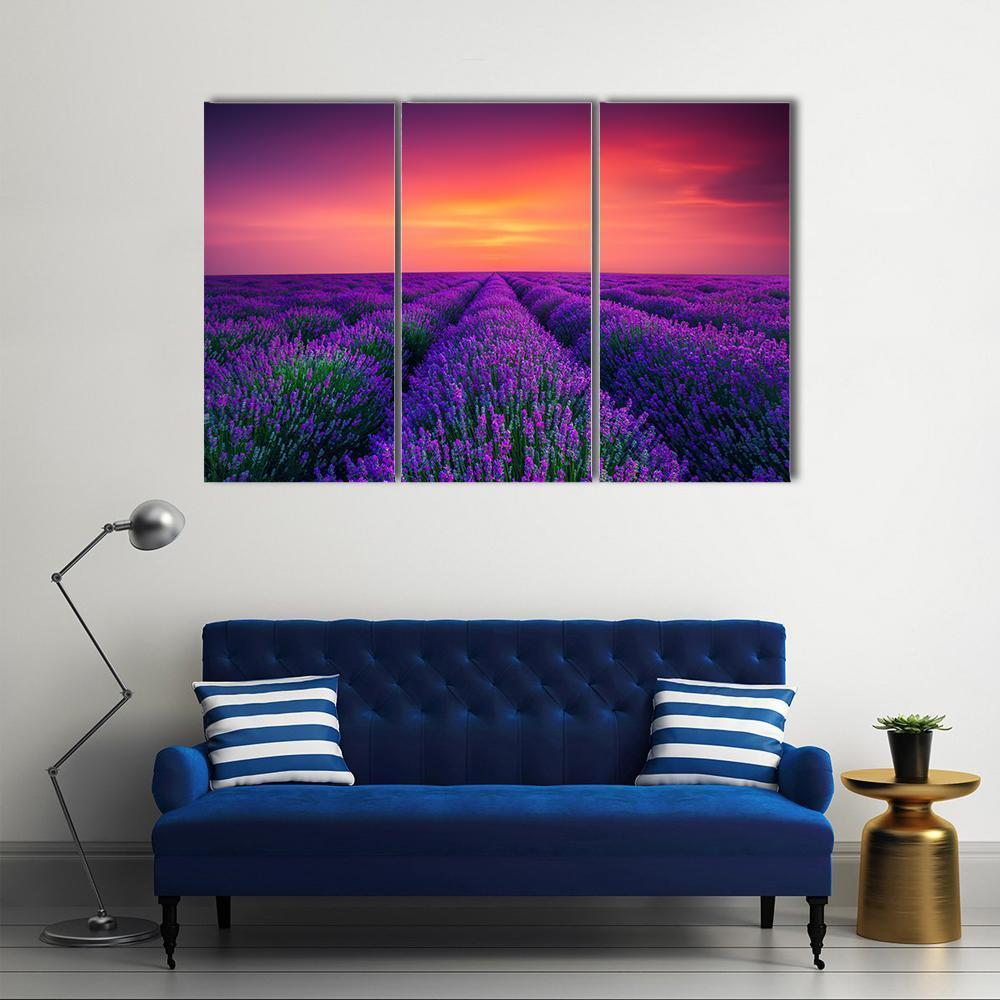 Lavender Flower Blooming Canvas Wall Art-3 Horizontal-Gallery Wrap-37" x 24"-Tiaracle