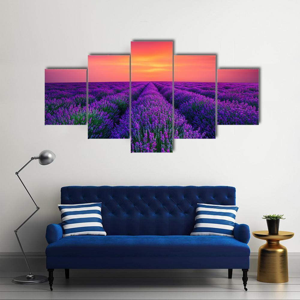 Lavender Flower Blooming Canvas Wall Art-5 Star-Gallery Wrap-62" x 32"-Tiaracle