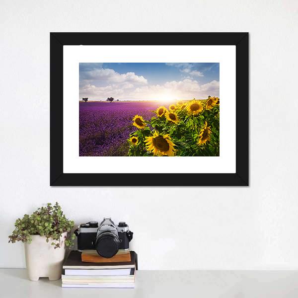 Lavender & Sunflowers Fields Canvas Wall Art-1 Piece-Framed Print-20" x 16"-Tiaracle