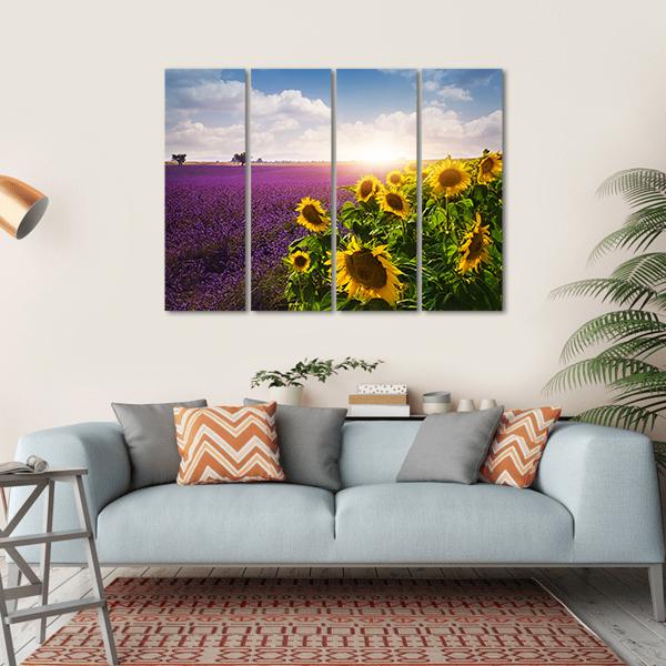 Lavender & Sunflowers Fields Canvas Wall Art-4 Horizontal-Gallery Wrap-34" x 24"-Tiaracle