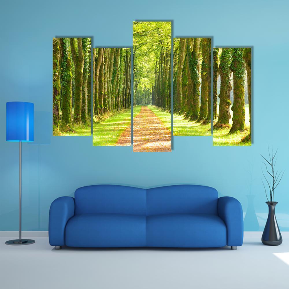 Linden Trees In Row & Footpath Canvas Wall Art-5 Pop-Gallery Wrap-47" x 32"-Tiaracle