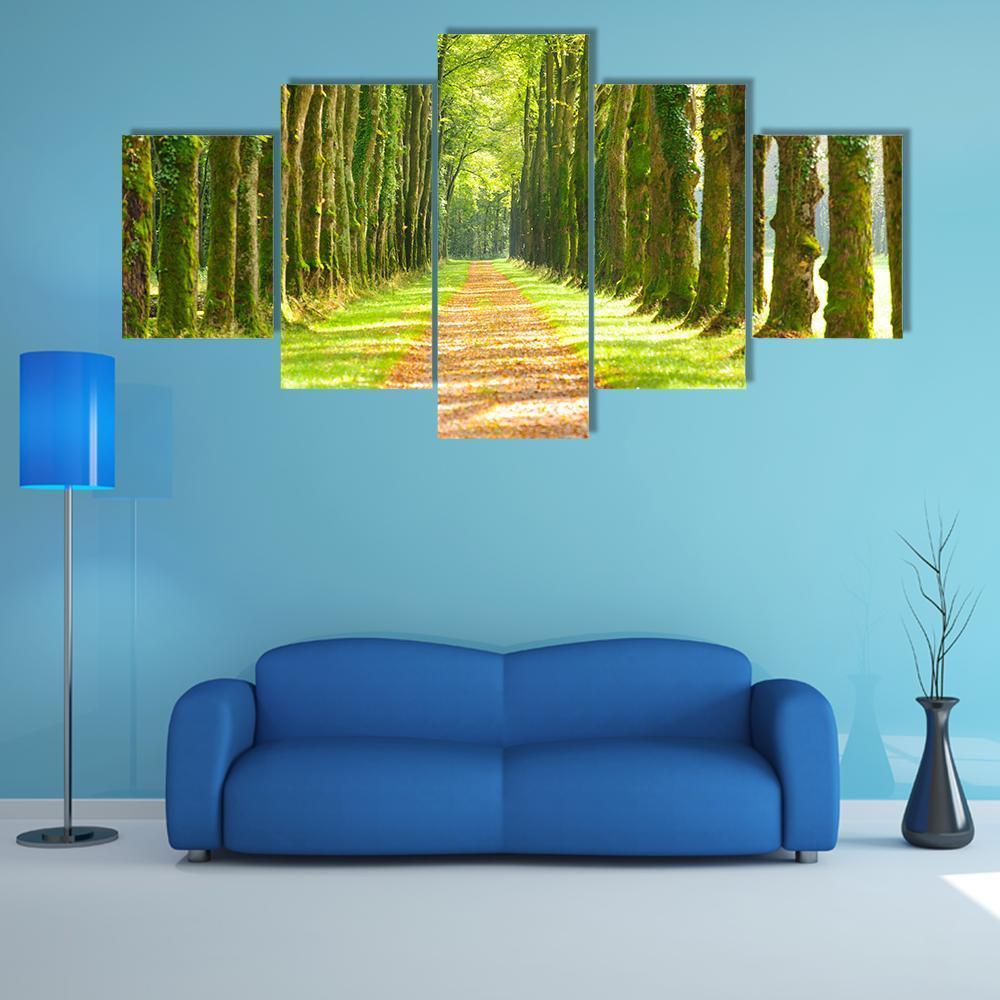 Linden Trees In Row & Footpath Canvas Wall Art-5 Star-Gallery Wrap-62" x 32"-Tiaracle