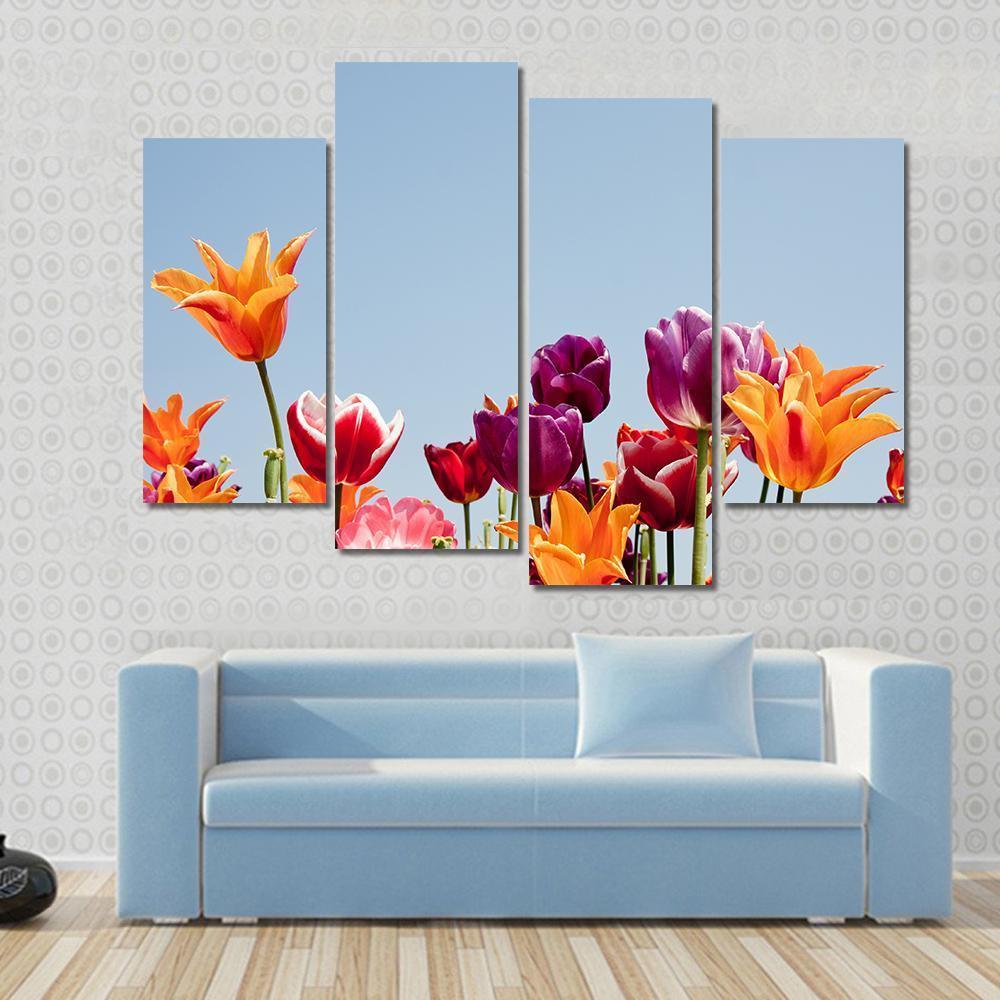 Multicolor Tulips Canvas Wall Art-4 Pop-Gallery Wrap-50" x 32"-Tiaracle