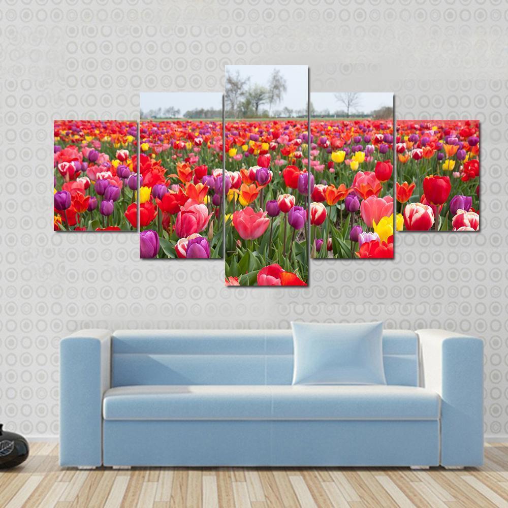 Coloured Tulips Canvas Wall Art-5 Star-Gallery Wrap-62" x 32"-Tiaracle