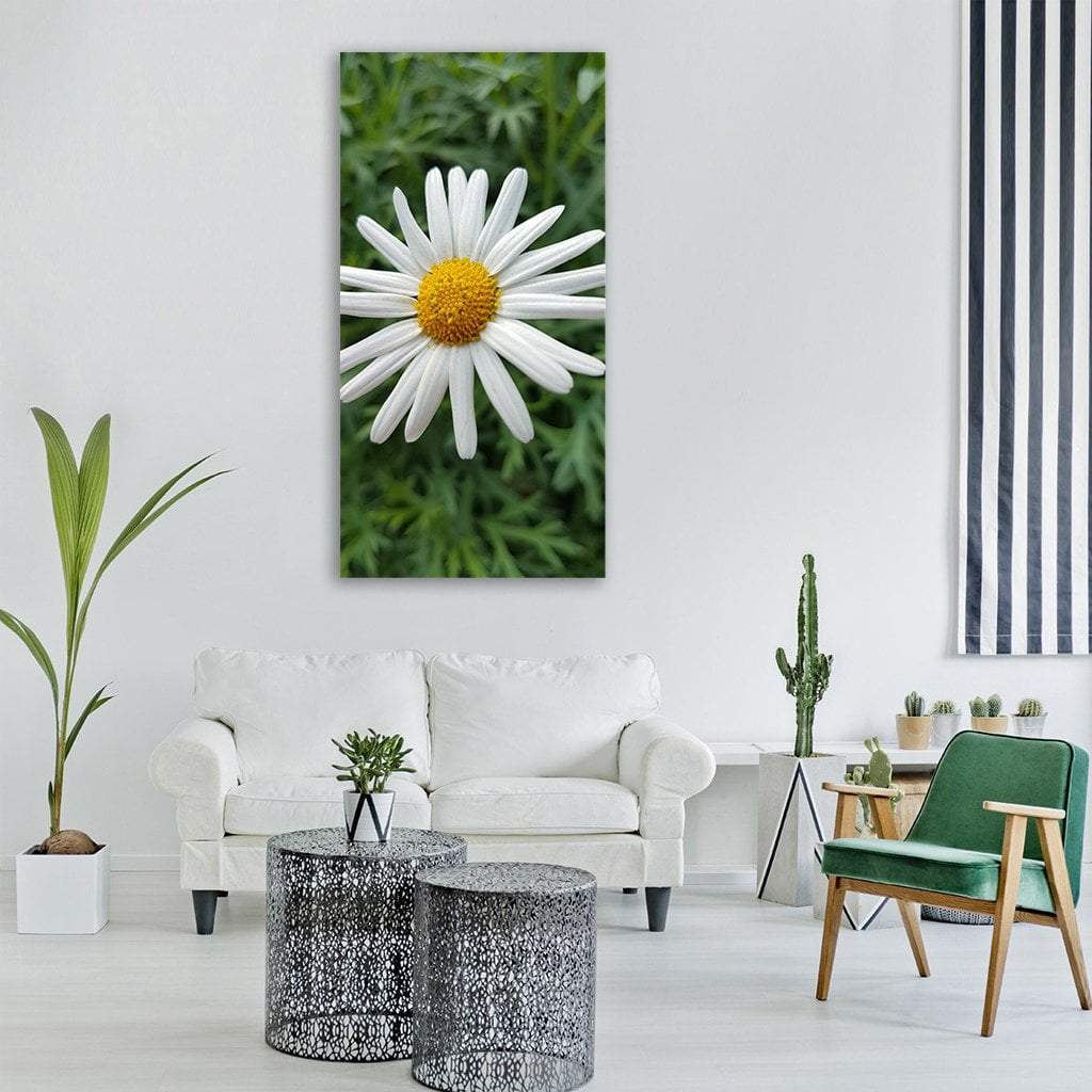 Marguerite Daisy In Summer Vertical Canvas Wall Art-1 Vertical-Gallery Wrap-12" x 24"-Tiaracle