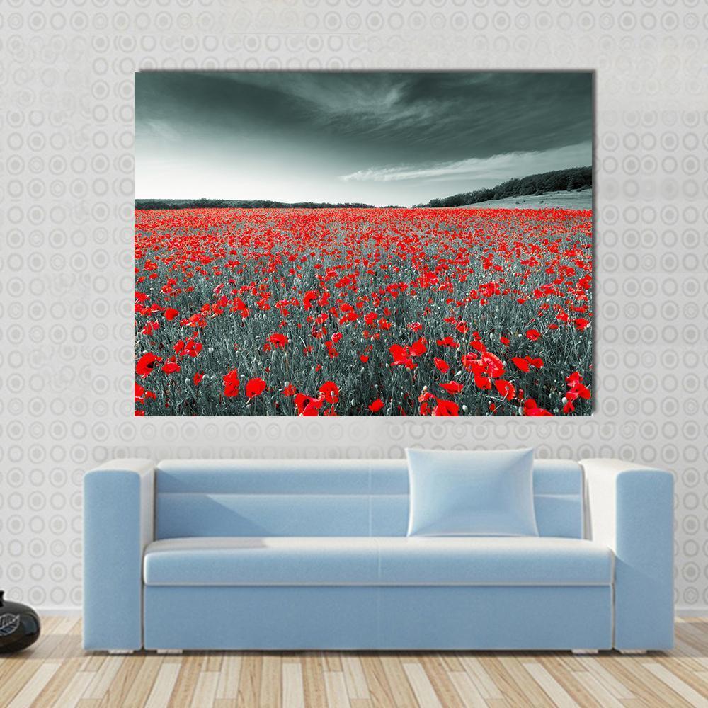 Meadow With Red Poppies Canvas Wall Art-1 Piece-Gallery Wrap-48" x 32"-Tiaracle