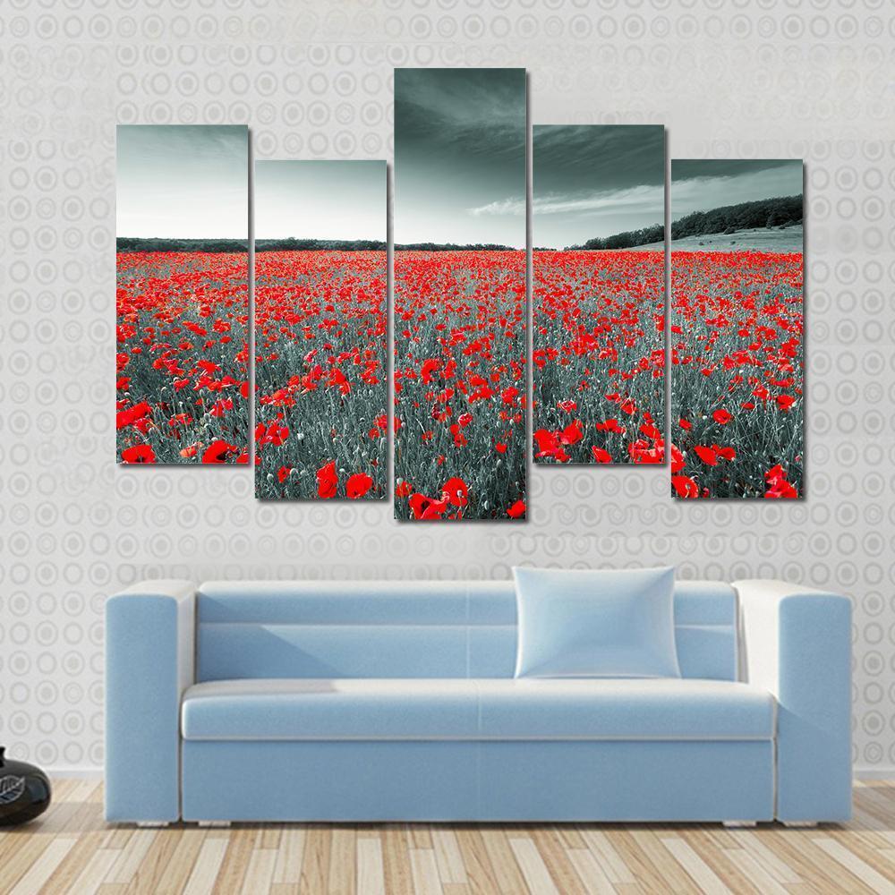 Meadow With Red Poppies Canvas Wall Art-5 Pop-Gallery Wrap-47" x 32"-Tiaracle
