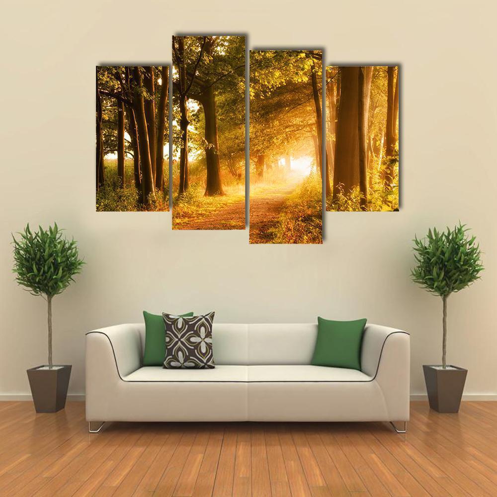 Misty Footpath In Forest Canvas Wall Art-4 Pop-Gallery Wrap-50" x 32"-Tiaracle