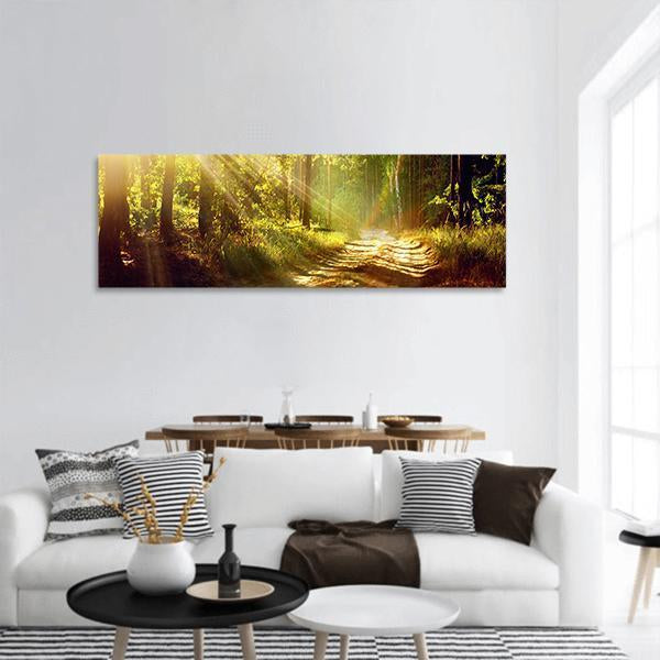 Forest With Sun Rays Panoramic Canvas Wall Art-1 Piece-36" x 12"-Tiaracle