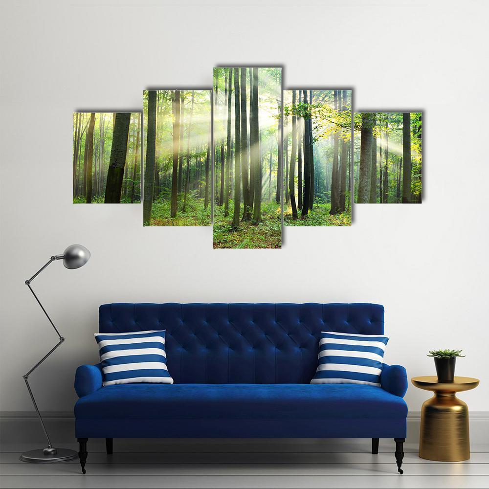 Morning In Forest Canvas Wall Art-5 Star-Gallery Wrap-62" x 32"-Tiaracle