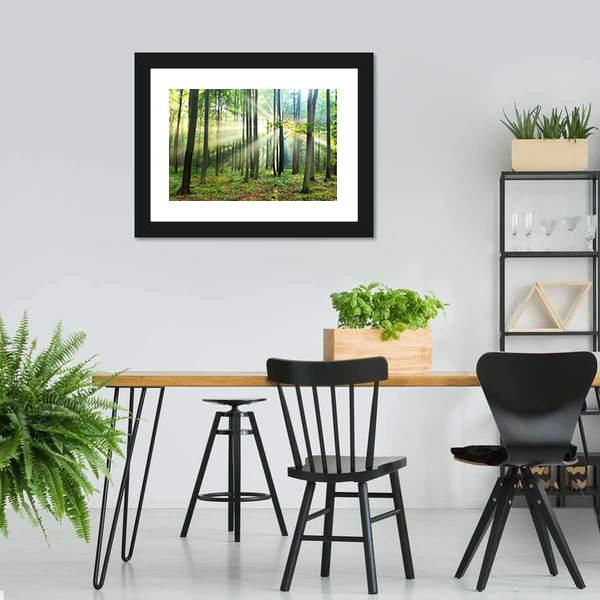 Morning In Forest Canvas Wall Art-3 Horizontal-Gallery Wrap-25" x 16"-Tiaracle