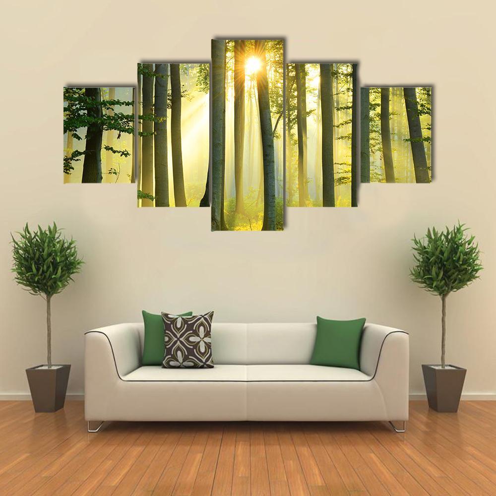 Forest Morning Canvas Wall Art-5 Star-Gallery Wrap-62" x 32"-Tiaracle
