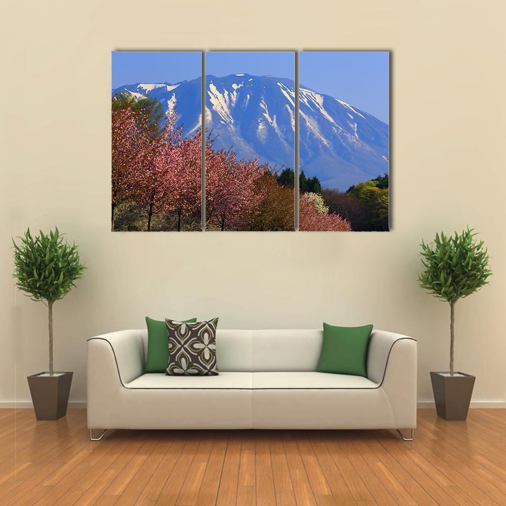 Iwate & Cherry Tree Canvas Wall Art-3 Horizontal-Gallery Wrap-37" x 24"-Tiaracle