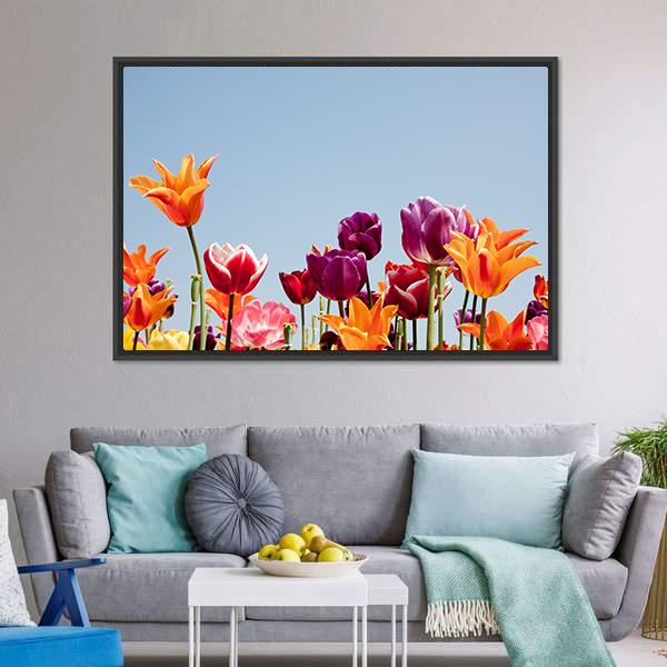 Multicolor Tulips Canvas Wall Art-3 Horizontal-Gallery Wrap-25" x 16"-Tiaracle