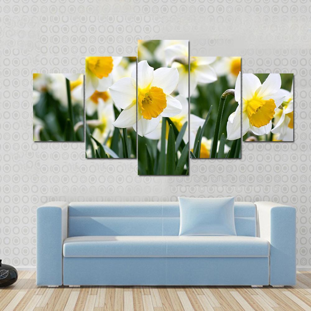 Narcissus Flowers Canvas Wall Art-5 Star-Gallery Wrap-62" x 32"-Tiaracle