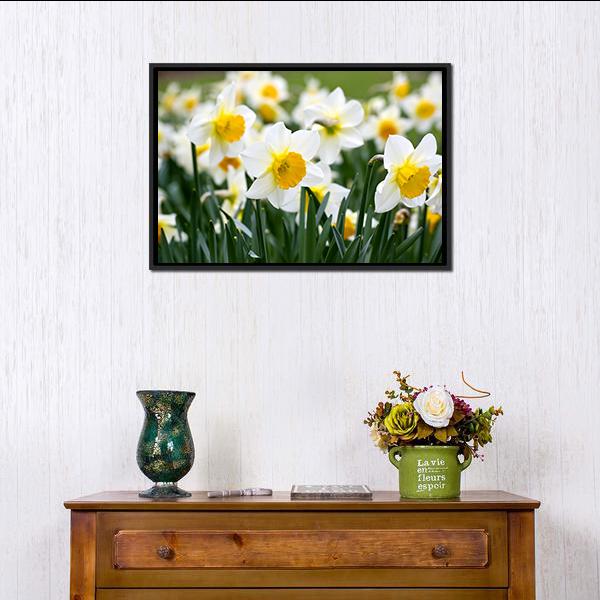 Narcissus Flowers Canvas Wall Art-3 Horizontal-Gallery Wrap-25" x 16"-Tiaracle