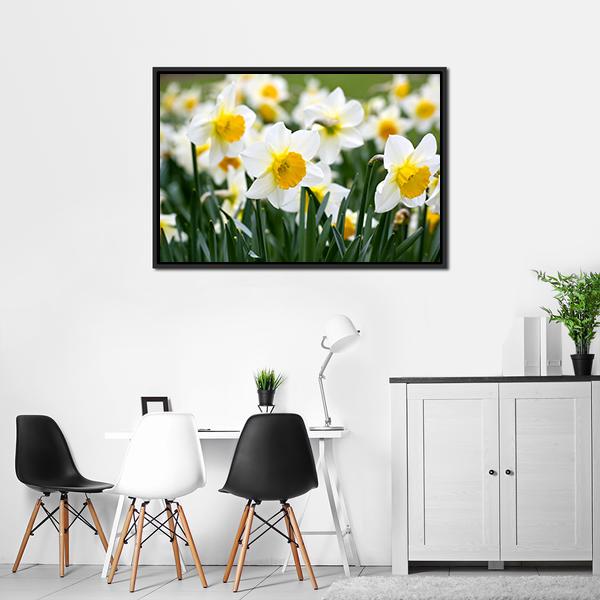 Narcissus Flowers Canvas Wall Art-3 Horizontal-Gallery Wrap-25" x 16"-Tiaracle