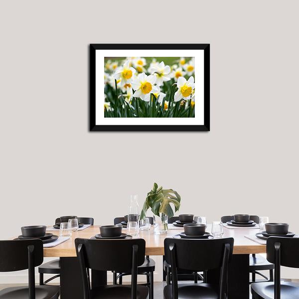 Narcissus Flowers Canvas Wall Art-1 Piece-Framed Print-20" x 16"-Tiaracle