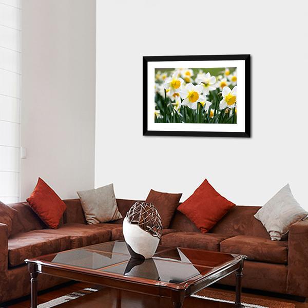 Narcissus Flowers Canvas Wall Art-3 Horizontal-Gallery Wrap-25" x 16"-Tiaracle