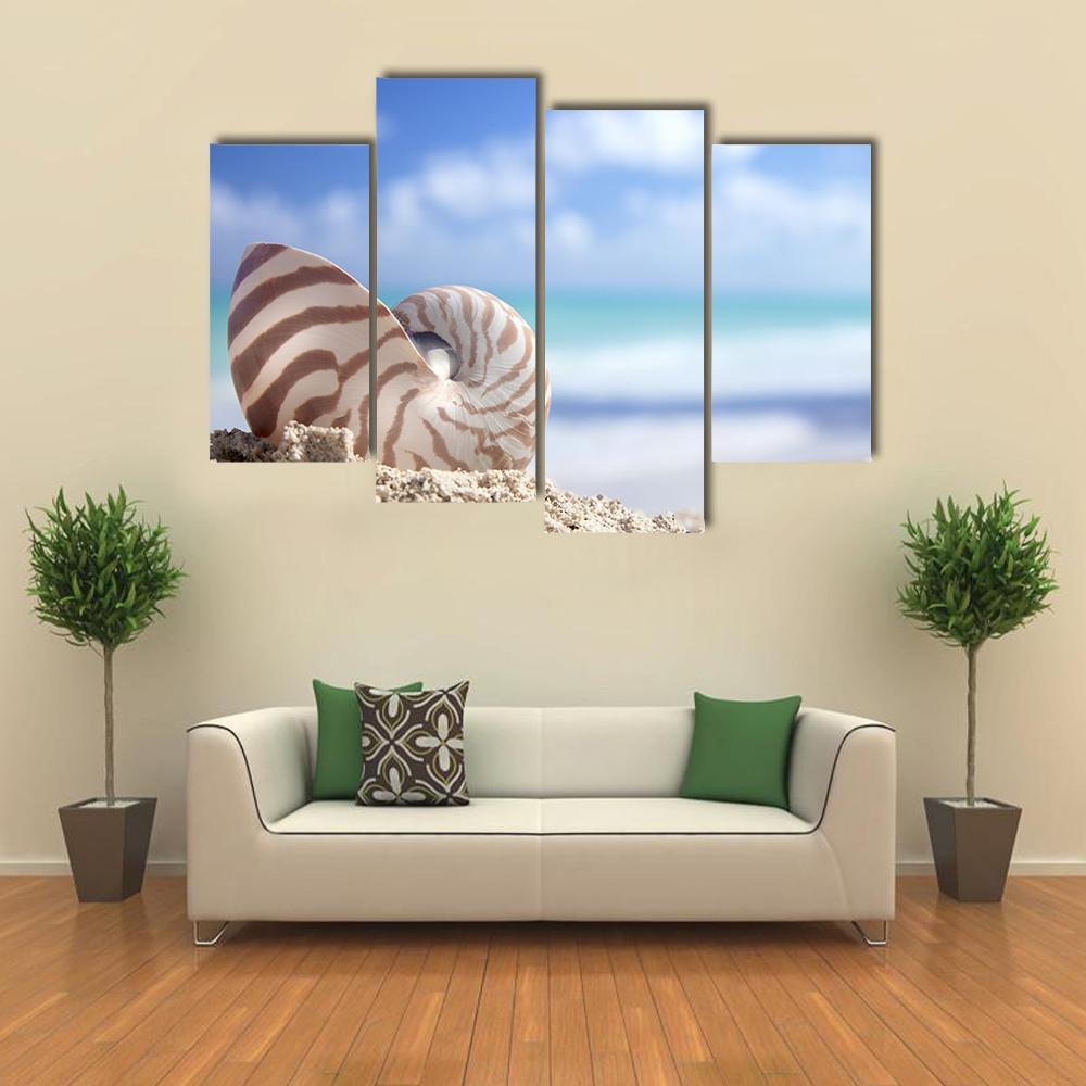 Nautilus Shell On Beach Canvas Wall Art-4 Pop-Gallery Wrap-50" x 32"-Tiaracle
