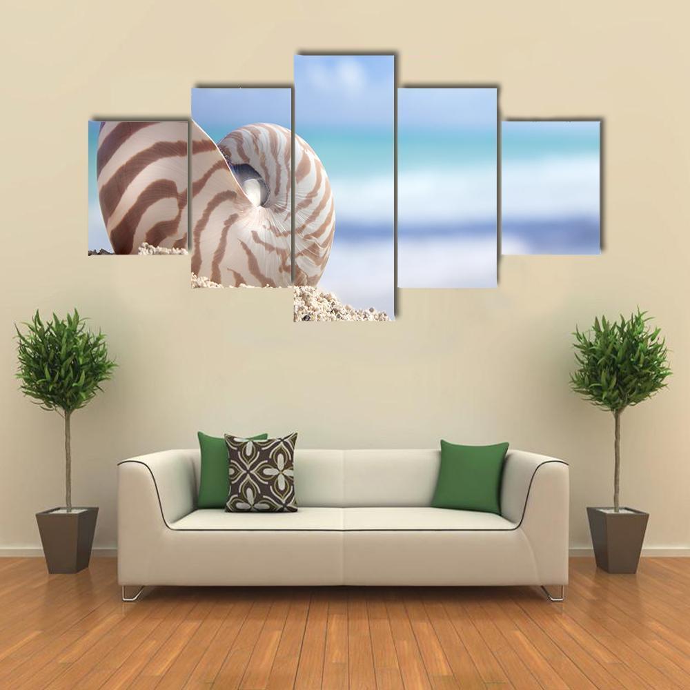 Nautilus Shell On Beach Canvas Wall Art-5 Star-Gallery Wrap-62" x 32"-Tiaracle