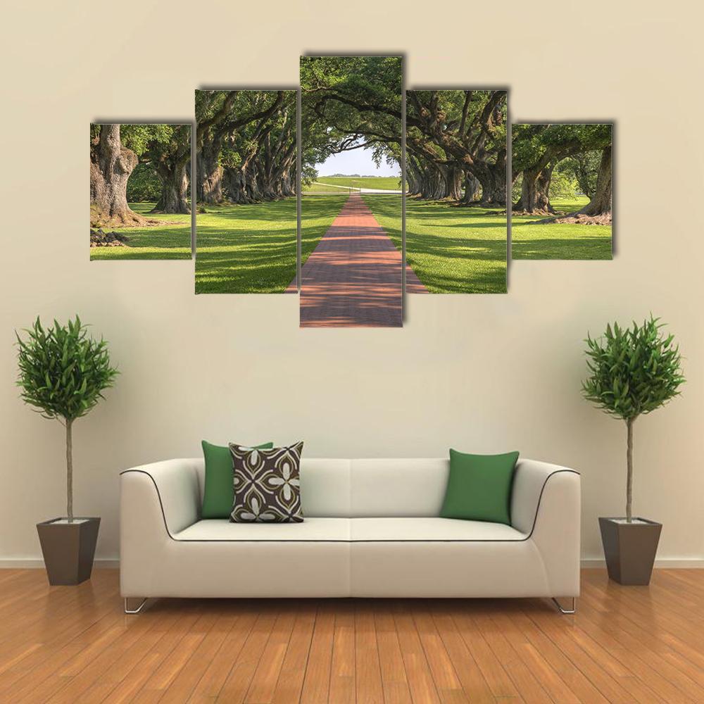 Oak Tree Lined Walkway Canvas Wall Art-5 Star-Gallery Wrap-62" x 32"-Tiaracle