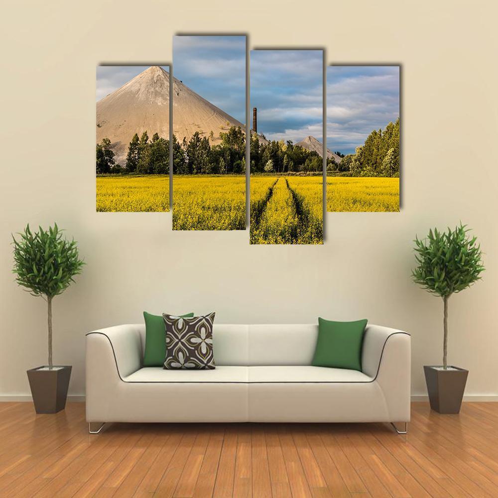 Oil Shale Ash Heap Canvas Wall Art-4 Pop-Gallery Wrap-50" x 32"-Tiaracle