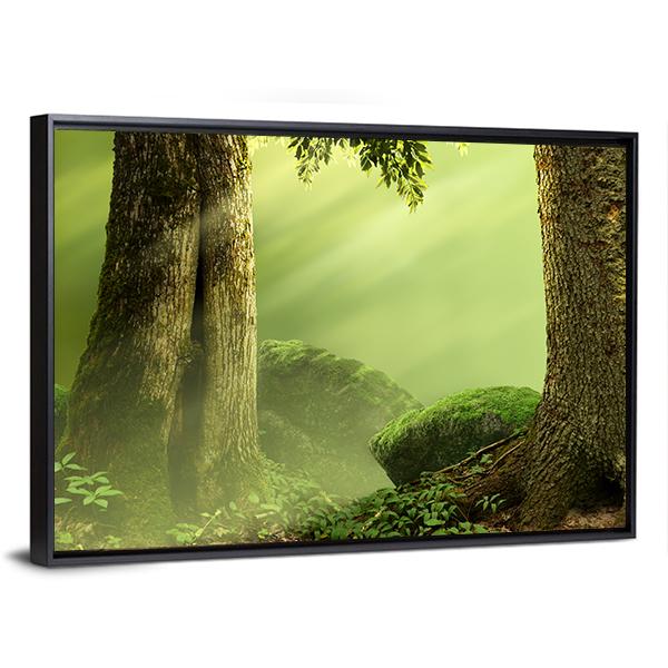 Old Mossy Trees Canvas Wall Art-3 Horizontal-Gallery Wrap-25" x 16"-Tiaracle